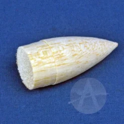 Corporal 23 Corporal -Trendy Toy Store 5381adaab9ee613d41b71a22efc42d15.image .700x700