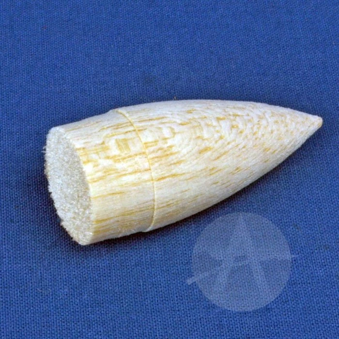 Corporal 10 Corporal - Image 10