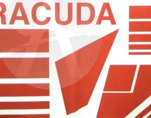 Barracuda 4 Barracuda - Image 4