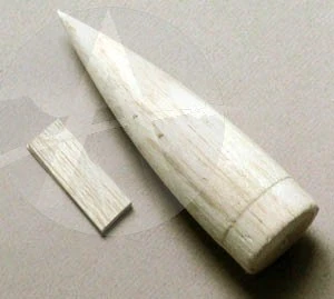 Kraken 7 Kraken - Image 7