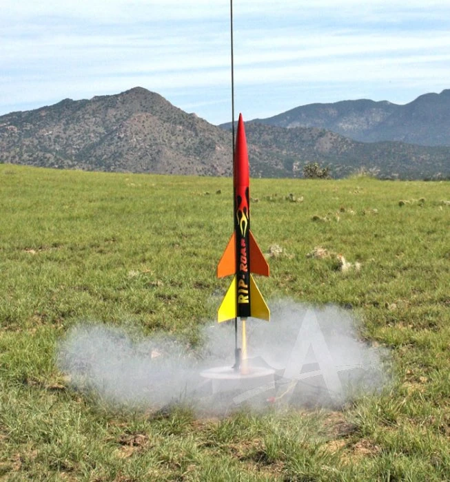 DYNASTAR Rip-Roar 6 DYNASTAR Rip-Roar - Image 6